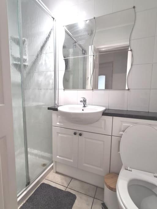 شقة Cosy Self Contained Annexe بودمين المظهر الخارجي الصورة